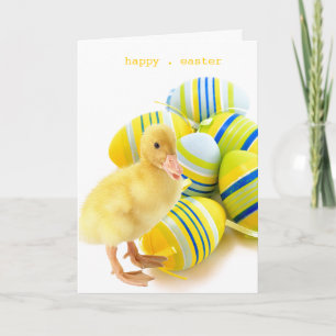 little duck easter card