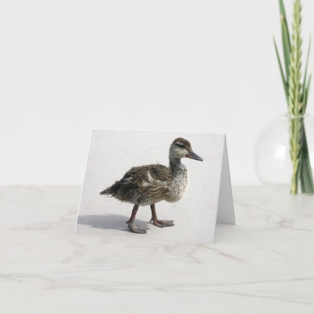 Little Duckling Card (Front)