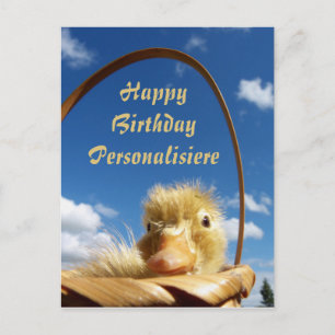 little duckling in blue sky ,template postcard