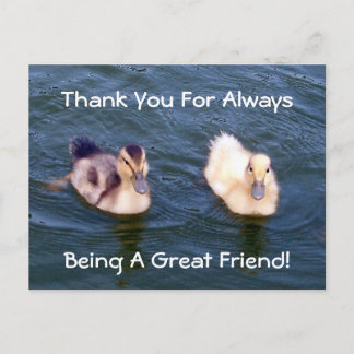 Little Ducklings Postcard