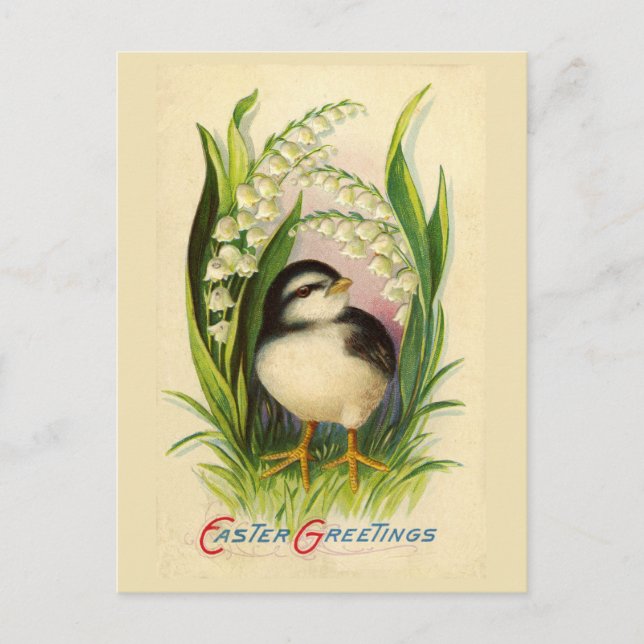 Little Easter Bird Vintage Postcard (Front)