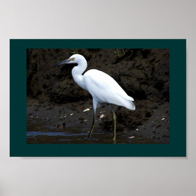 Little Egret Print (Front)