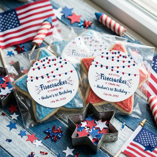 Little Firecracker 4th Of July 1st Birthday Classic Round Sticker