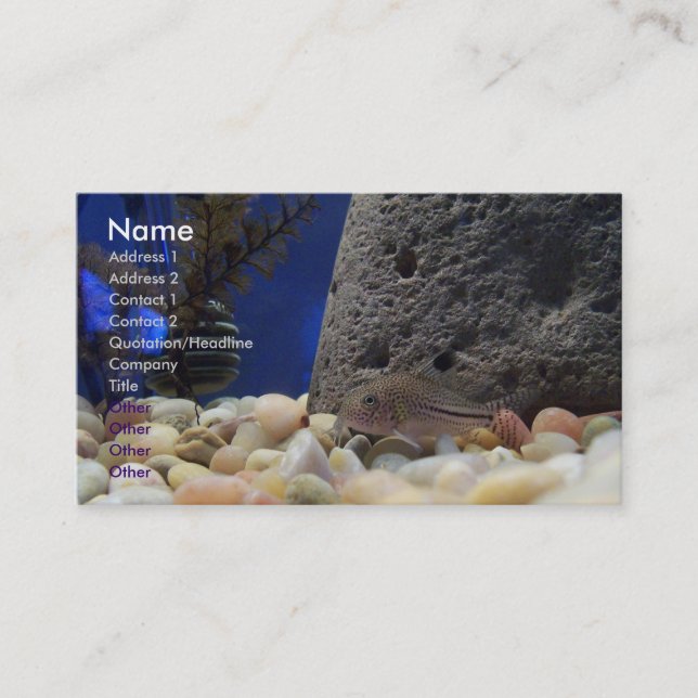 Little Fish Business Card (Front)