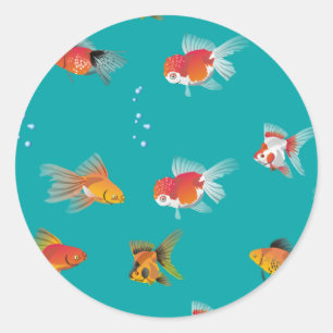 Little Fish Sticker