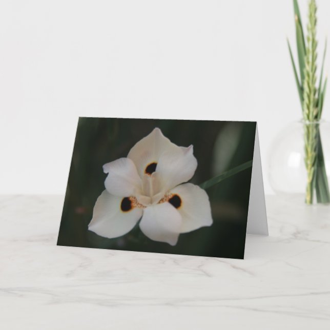 little flower thank you card (Front)