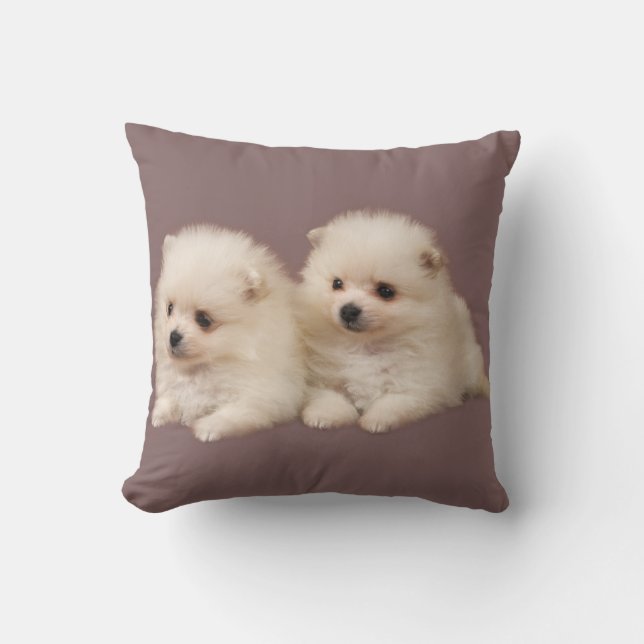 Little Fluffy White Pomeranian Puppies Pillow (Front)
