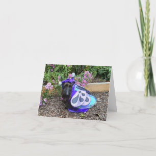 Little Flutterby Card