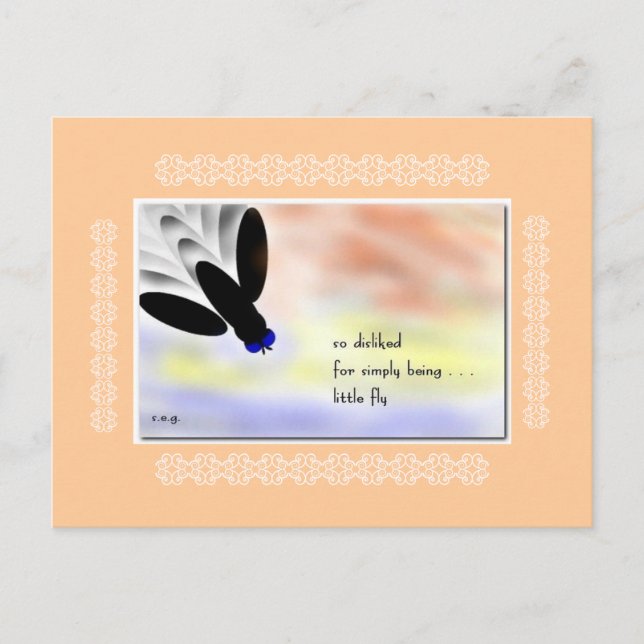 Little Fly Haiku Art Collectable Postcard (Front)