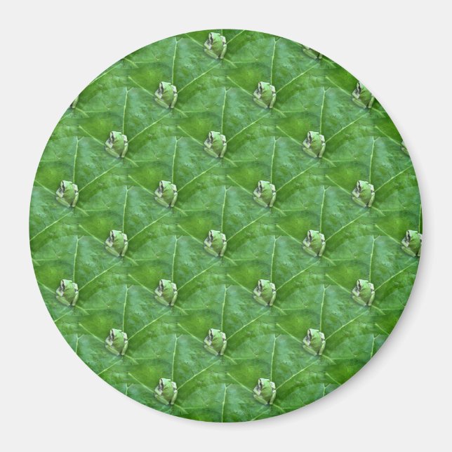 Little frogs... magnet (Front)