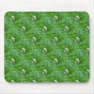 Little frogs..... mouse pad