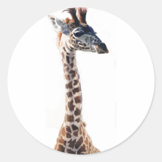 "Little Giraffe" Wildlife Animal Watercolor Classic Round Sticker