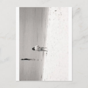 Little Girl Hunting Sea Shells on Beach Postcard