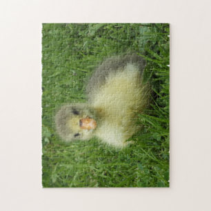 little goose in lush green grass jigsaw puzzle