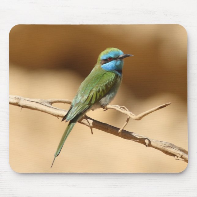 Little Green Bee-eater Mouse Pad (Front)