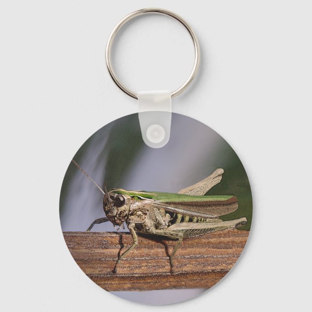 Little Green Grasshopper Keyring (Front)