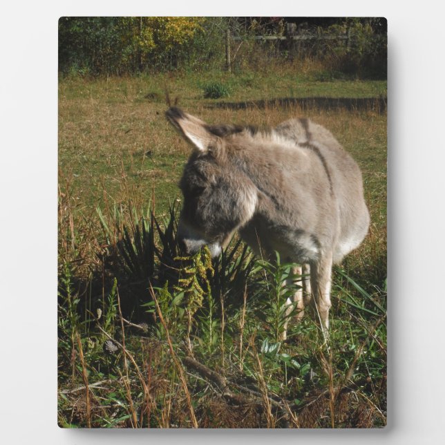Little grey Donkey w / wildflowers Plaque (Front)