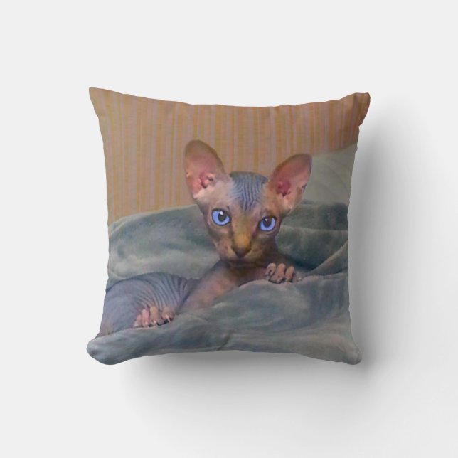 Little grey Sphynx kitten Cushion (Front)