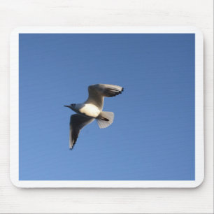 Little Gull Mouse Pad