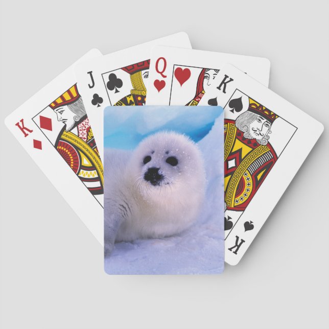 Little Harp Seal Pup Covered in Snowflakes Playing Cards (Back)