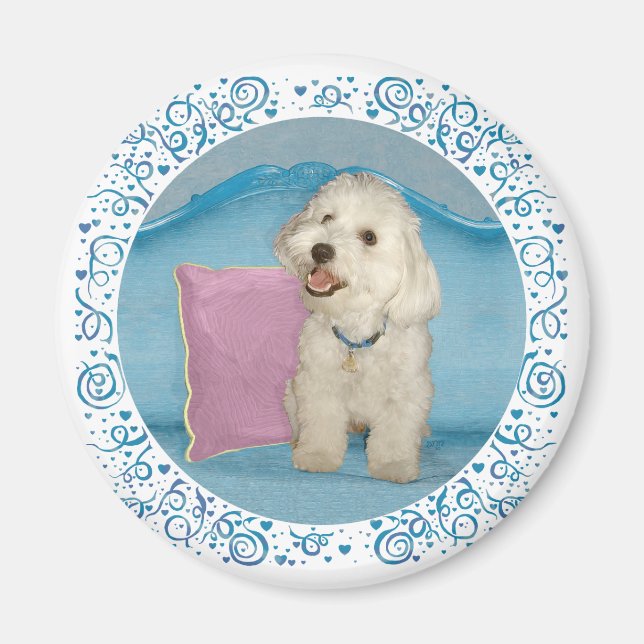 Little Havanese on Turquoise Sofa Magnet (Front)