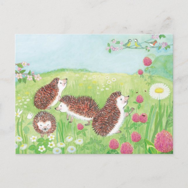 Little Hedgehogs in the Meadow  Holiday Postcard (Front)