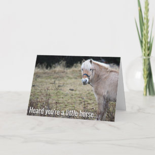 Little Horse Get Well Soon Card