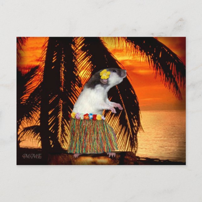 Little Hula Honey Postcard (Front)