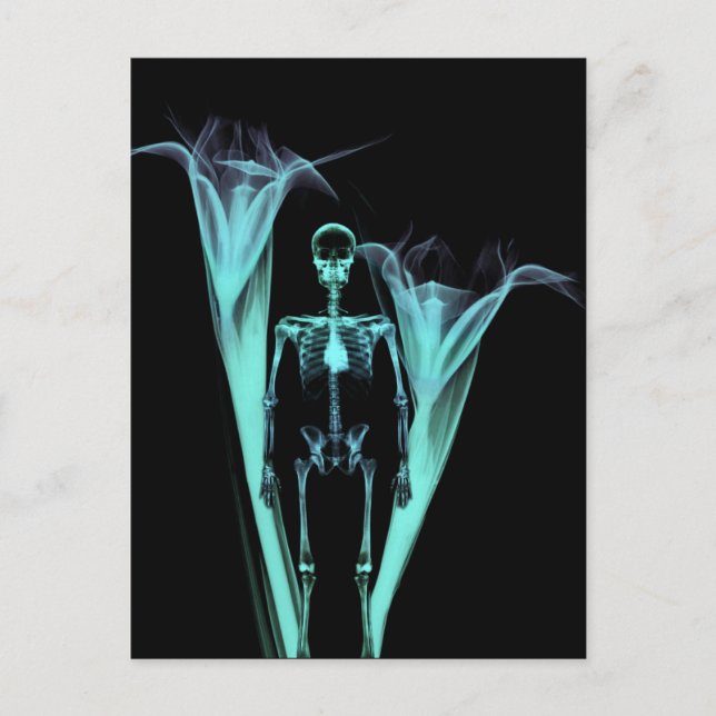 Little Human X-Ray Skeleton & Flowers - Teal Postcard (Front)