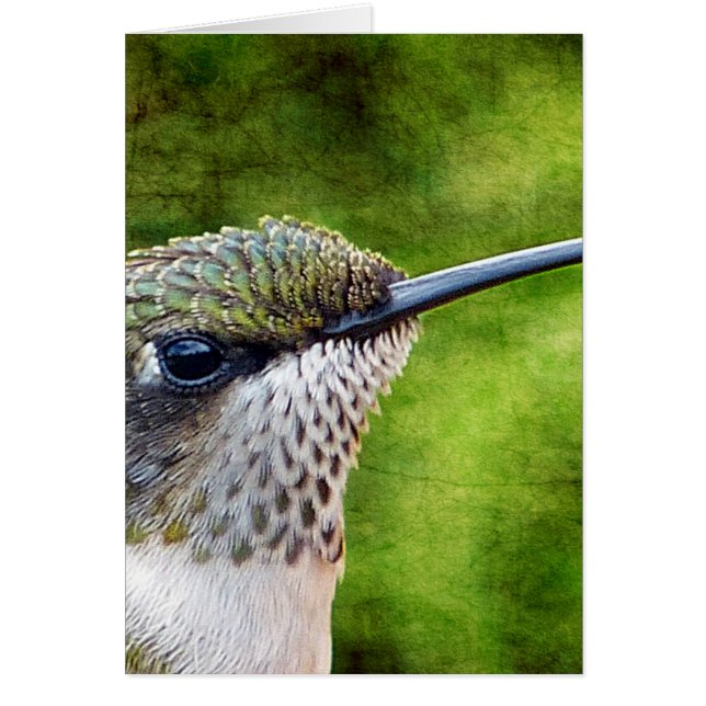 Little Hummer (Front)