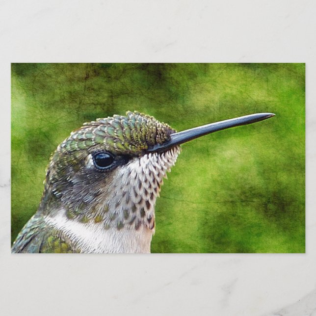 Little Hummer Stationery (Front)