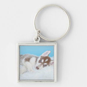 Little Husky Puppy Laying on a Blanket Key Ring