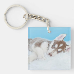Little Husky Puppy Laying on a Blanket Key Ring