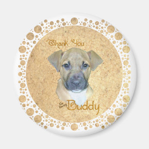 Little Injured Pup - Rescued! Magnet