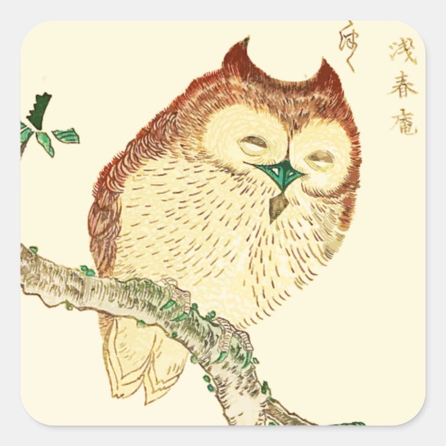 Little Japanese owl Square Sticker (Front)