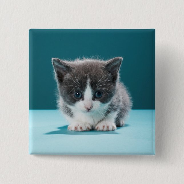 Little Kitten 15 Cm Square Badge (Front)