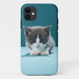 Little Kitten iPhone 11 Case