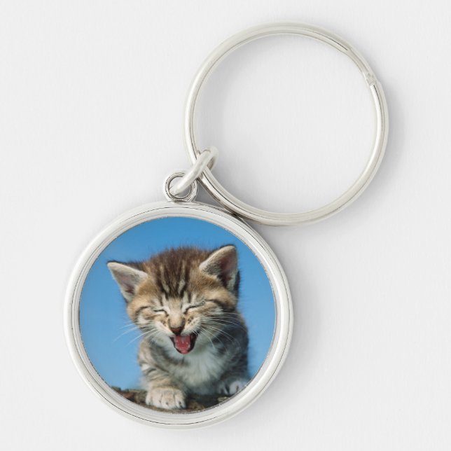 Little Kitten in a Tree Key Ring (Front)