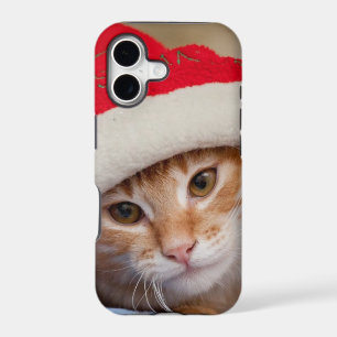 Little Kitten in Red Christmas Hat
