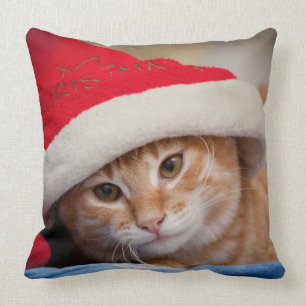 Little Kitten in Red Christmas Hat Cushion