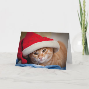 Little Kitten in Red Christmas Hat Holiday Card