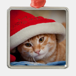 Little Kitten in Red Christmas Hat Metal Tree Decoration