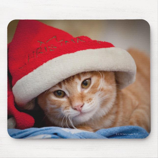 Little Kitten in Red Christmas Hat Mouse Pad (Front)