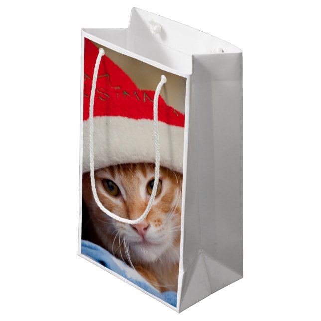 Little Kitten in Red Christmas Hat Small Gift Bag (Front Angled)