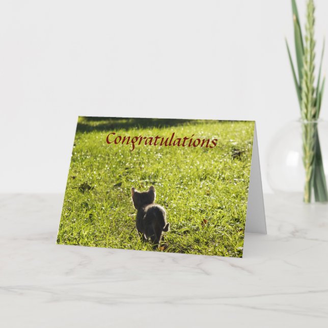 Little Kitten Multi Purpose Card (Front)