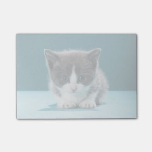 Little Kitten Post-it Notes
