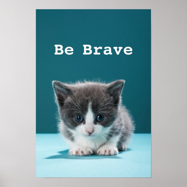 Little Kitten Poster (Front)