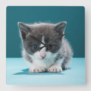 Little Kitten Square Wall Clock