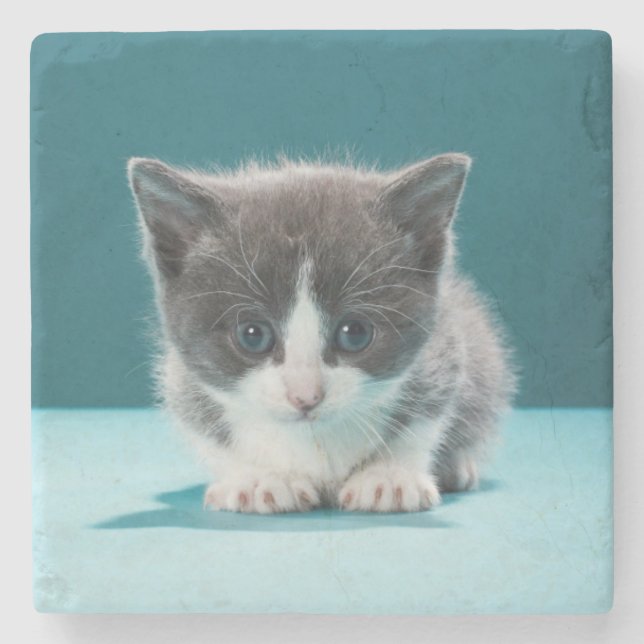 Little Kitten Stone Coaster (Front)