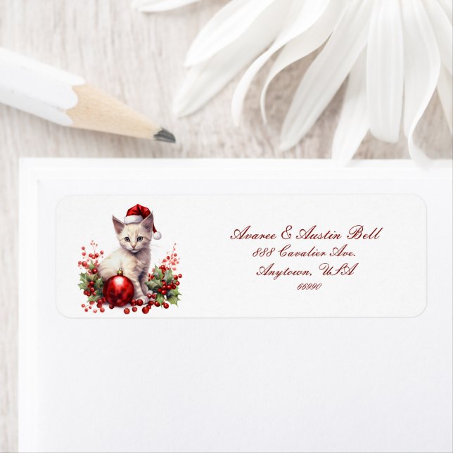 Little Kittens Dressed For Christmas (Insitu)